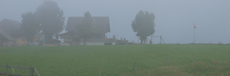 Hinterarni-Alp im Nebel